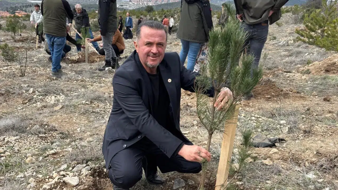Kargı'da Orman Haftası Fidan Dikimiyle Kutlandı