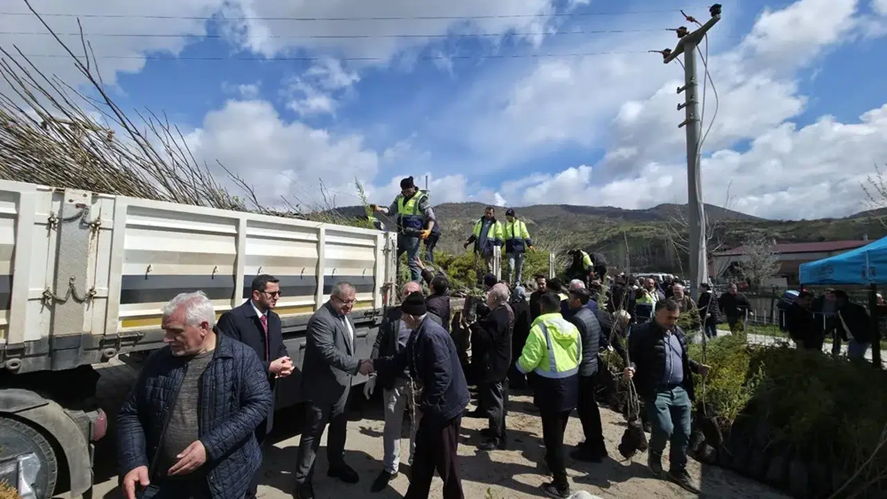 Bayat’ta 20 Bin Fidan Toprakla Buluştu