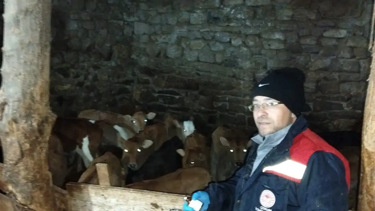 Hayvan Hastalıklarına Karşı Köy Köy Aşı Nöbeti