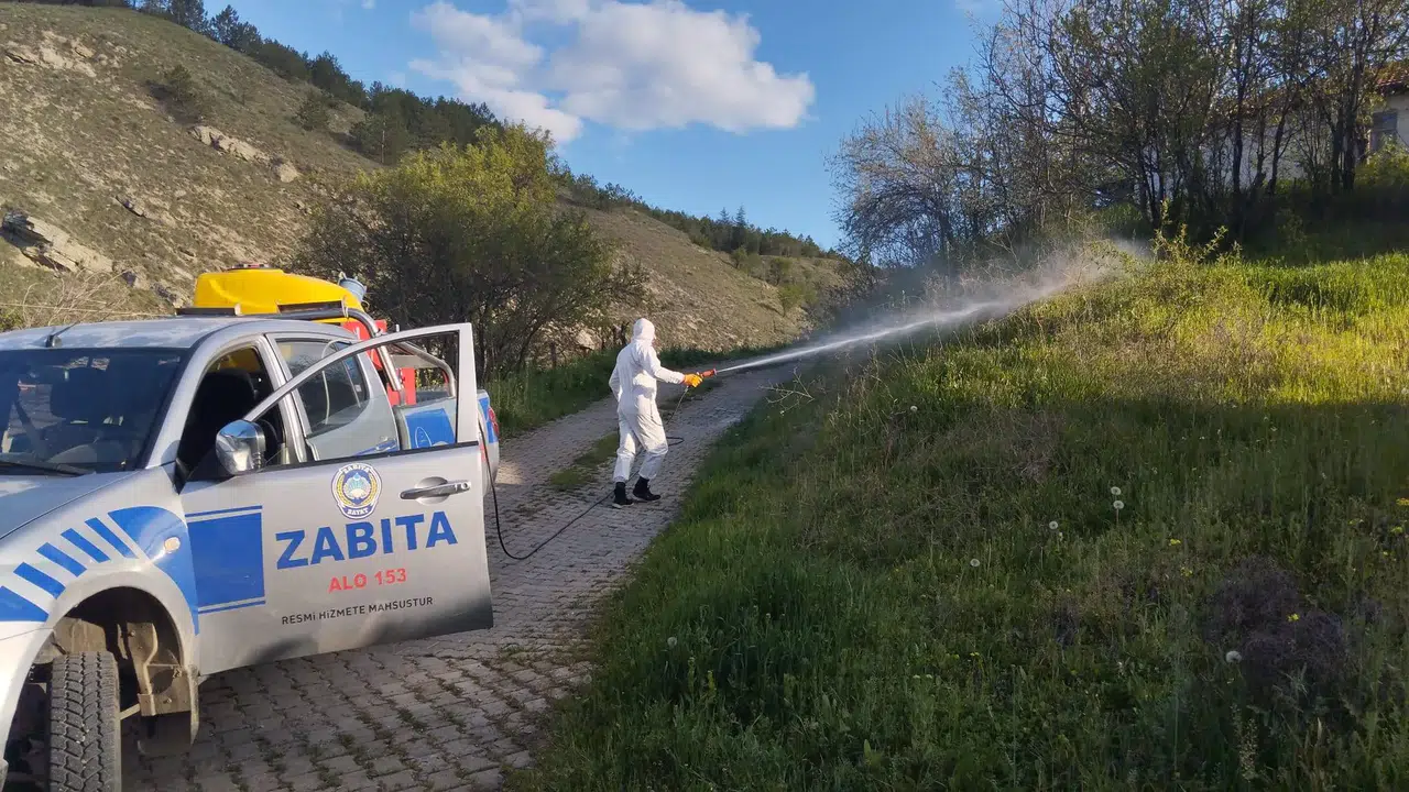 Haşere ve Sivrisineklere Karşı Erken Önlem
