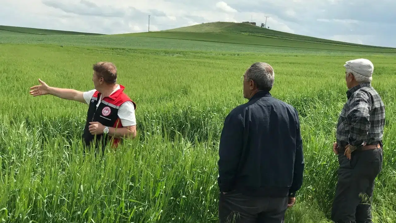 Üreticilere Sahada Teknik Destek