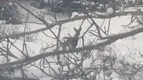 Doğanın Kalbinden Gelen Sürpriz Kareler
