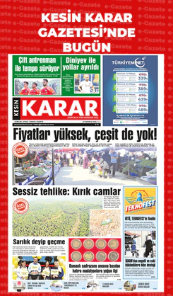 29.07.2025
