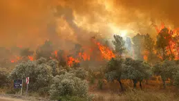 Orman ve Anız Yangınlarına Karşı Uyarı