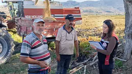 Laçin’de Çeltik Hasadı Heyecanı Başladı