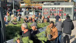 Alaca Belediyesi Fidan Dağıttı