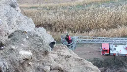 Uçurumda Mahsur Kalan Keçileri İtfaiye Kurtardı