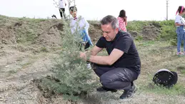 Sungurlu Daha da Yeşilleniyor