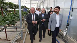 Tıbbi Aromatik Bitki Tesisi’nde İnceleme