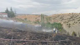 Yangında 10 Dekar Alan Zarar Gördü