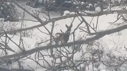 Doğanın Kalbinden Gelen Sürpriz Kareler