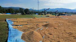 Kargı Belediyesi Çeltik Satacak