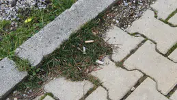 Şehir Genelinde Sigara İzmariti Kirliliği