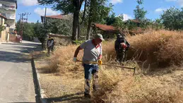 Sungurlu’da Ot Biçme Çalışmaları