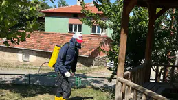 Uğurludağ'da Park ve Bahçelerde İlaçlama Mesaisi
