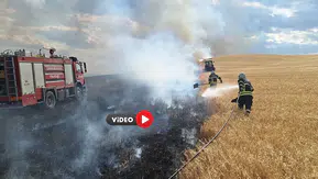 120 Dekar Buğday Tarlası Küle Döndü