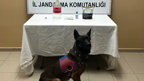 Jandarma Kapıyı Çalınca Ortaya Çıktı