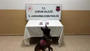Jandarmanın Nefes Kesen Takibi Şaşırtan Bir Sonla Bitti