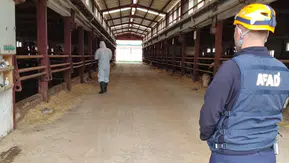 Ahırdaki Gaz Şüphesi AFAD'ı Seferber Etti