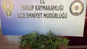 Çorum'da Polisten Zehir Baskını