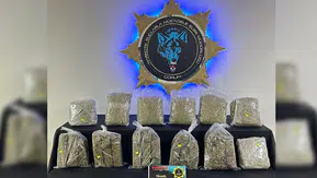 9,5 Kilogram Sentetik Uyuşturucu Ele Geçirildi
