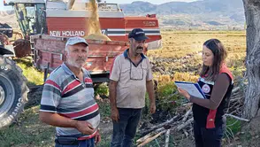 Laçin’de Çeltik Hasadı Heyecanı Başladı