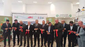 Oğuzlar Cevizi Üreticilerle Buluşuyor