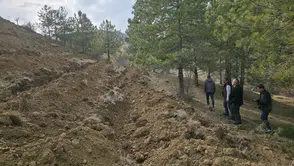 55 Dönümlük ‘Bal Ormanı’ Kuruluyor