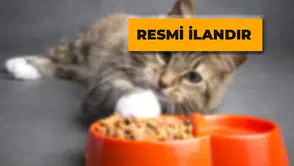 Mama ile Ekmek Satın Alınacak