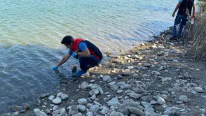 Balık Ölümleri İncelemede