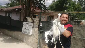 Yuvasından Düşen Leylek Tedavi Altında