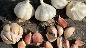 Üyük Sarımsağı Coğrafi İşaretle Tescillendi