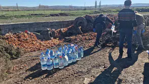 Operasyonla Yakalanmıştı, İmha Edildi