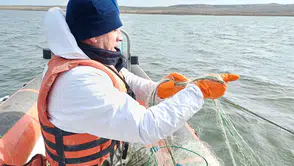 Yüzlerce Metre, Ekipler İzin Vermedi