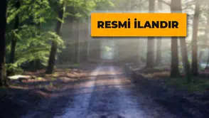 Orman Yolu Yaptırılacak