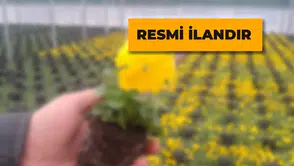 Çim ve Çiçek Üretim Ekipmanı Alım İhalesi İptal Edildi