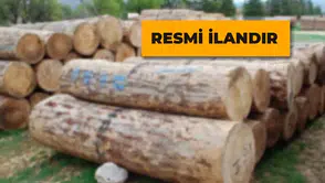 Orman Emvali İstifleme Hizmeti Alınacak