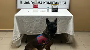 Jandarma Kapıyı Çalınca Ortaya Çıktı