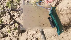 Tarımı Tehdit Eden Düşmana Karşı Feromon Kapanı