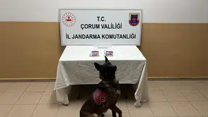 Jandarmanın Nefes Kesen Takibi Şaşırtan Bir Sonla Bitti