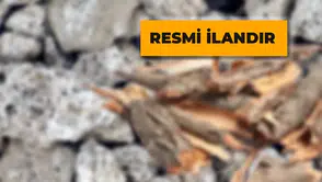 Pomza Taşı ve Ağaç Kabuğu Alınacak