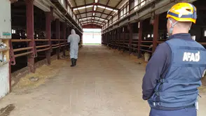 Ahırdaki Gaz Şüphesi AFAD'ı Seferber Etti