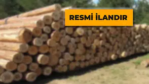 Orman Emvali İstif Hizmet Alım İşi İhale Edilecek