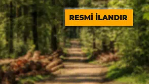 Orman Yolu Yaptırılacak