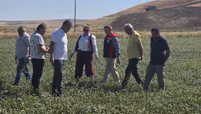 Çiftçinin Yeni Gelir Kapısında Verim Mesaisi