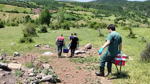 İskilip’te Bitkisel ve Hayvansal Üretim Yerinde İncelendi