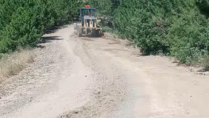 Oğuzlar'da Yayla ve Arazi Yollarında Çalışma