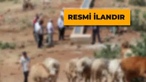 Mera Islah İşleri Yaptırılacak