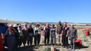 Karapürçek’te Soğan Üretimi Tarlada İncelendi