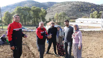 Safran Ekimi Yaygınlaşıyor